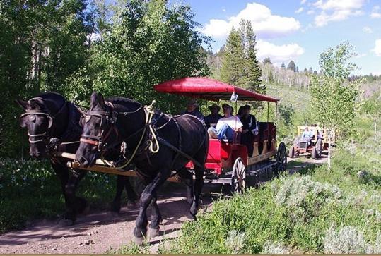 Parade Rest Ranch West Yellowstone Buitenkant foto
